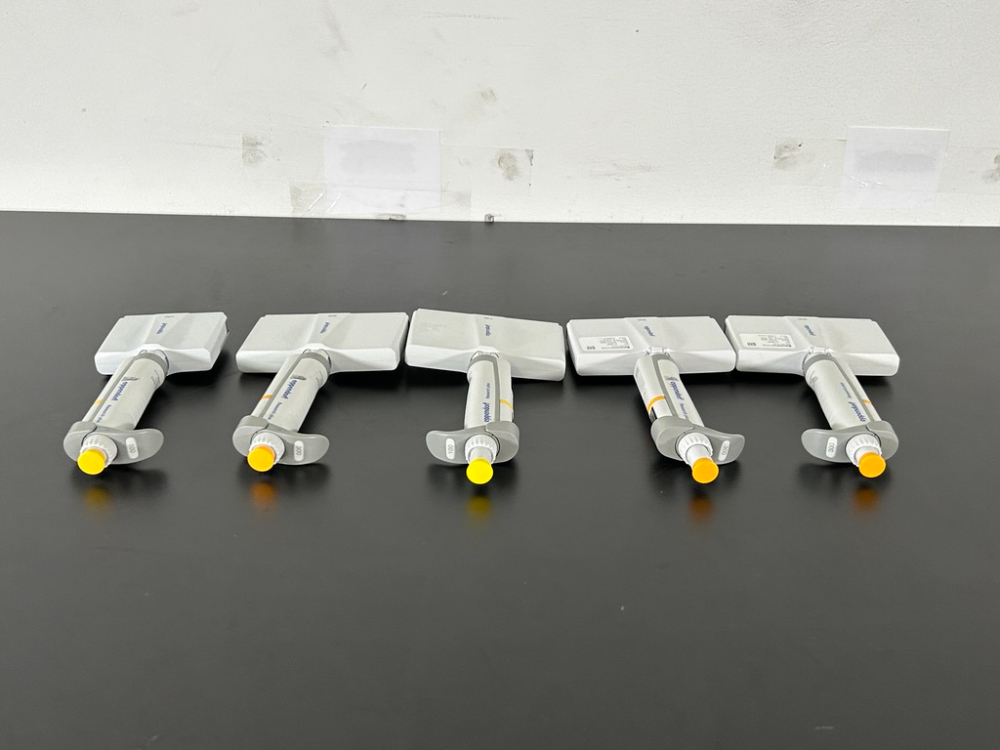 Image of Eppendorf Research Plus Multichannel Pipettes - Quantity 5